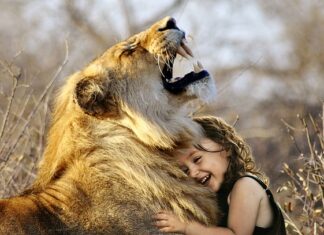 Co oznacza Lew w Wenecji?