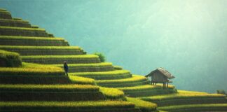 Ile kosztuje obiad na Bali?