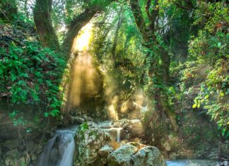 Kiedy zaczyna się pora deszczowa w Tajlandii? Kiedy zaczyna się pora deszczowa w Tajlandii?