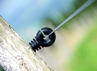 Ile polaków mieszka w Turcji?