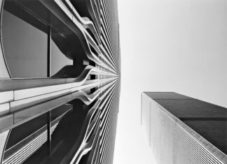 Gdzie jest najwięcej ataków rekinów?