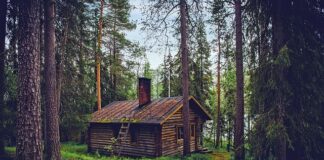 Kiedy Finlandia będzie w NATO?