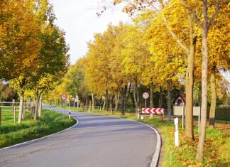 Czy można ominąć autostradę w Słowenii?