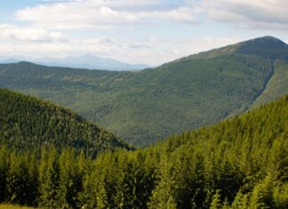 góry